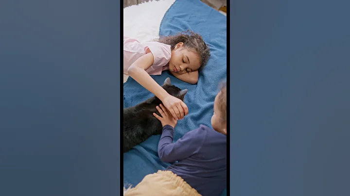 #cutecat #shortvideo #trending #trendingshorts #viral #animals #catlovers #cats #viralshorts #shorts