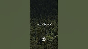 تلاوة رائعة #اكسبلور #quran #حالات_واتس #راحة_نفسية #لايك