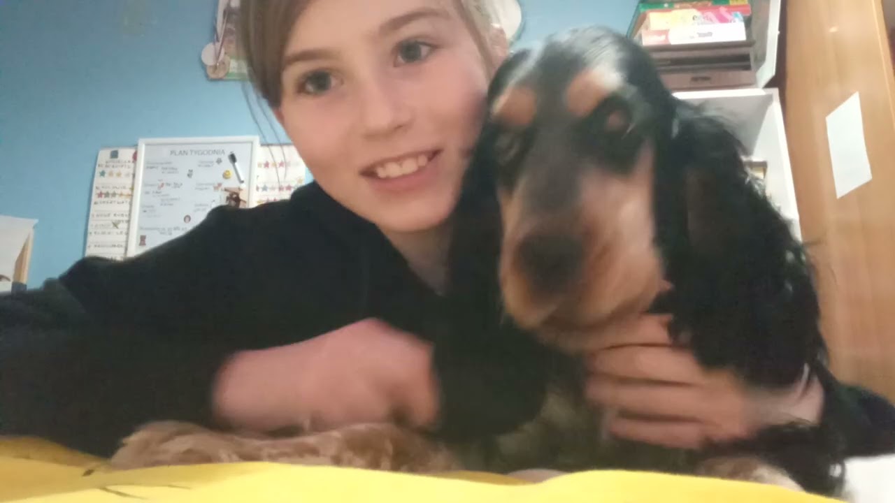 Filmik o moim wspaniałym psiecku♥️