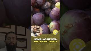 Resveratrol in Grape Seeds - Lecture #78 - Dr. Benjamin PhD (excerpt)