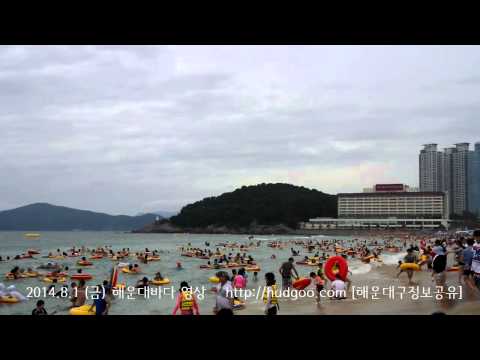 2014 8 1 해운대바다