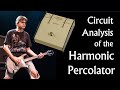 Horror of the harmonic percolator pedal analysis guitar amplification and effects bonus lecture