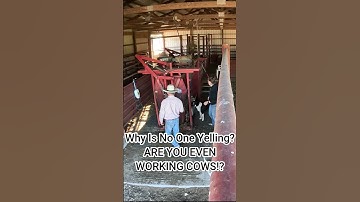 Working More Calves | Smiling Bovine Ranch