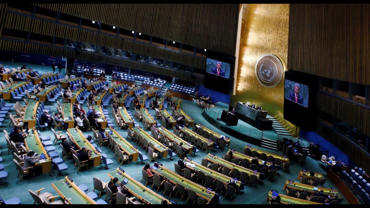 The Pillars Of The U.N. (David Wemhoff)