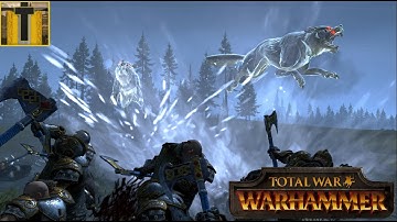 Warhammer: Multiplayer Battle #235 1v1 Orion skirmishing