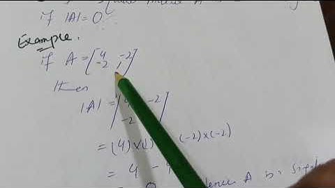 Class 9 Maths | Singular and Non-Singular Matrix | Easy Explanation with Examples