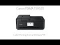 Canon PIXMA TS9520 -- Label Printing From A Windows® PC
