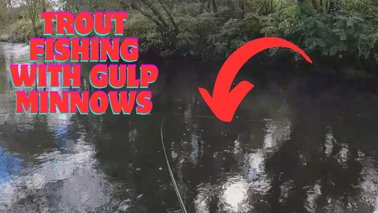 Fall Trout Fishing With Gulp Minnows - YouTube