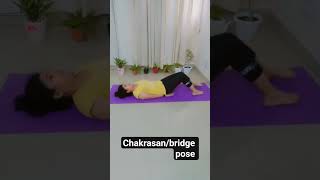 Setubandhasana/bridge pose Chakrasan/wheel pose🧘#yoga #yogapractice#exercise#shortsreel #shortsviral