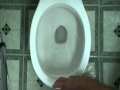 Toilet not flushing properly.Auger and plunger don't make a difference. Few tips will help!