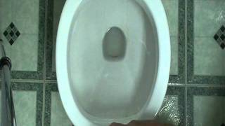 Toilet not flushing properly.Auger and plunger don't make a difference. Few tips will help!