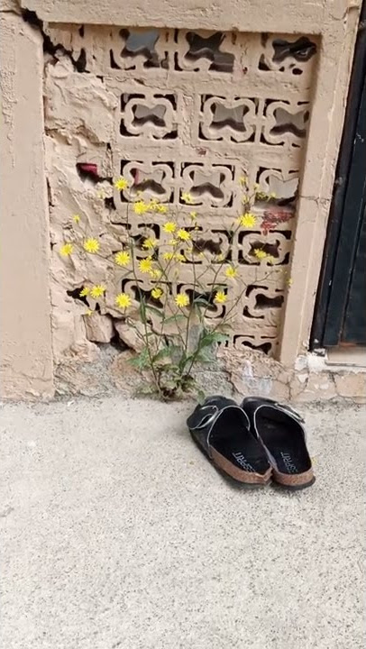 Taştan Yüreğin - Yitik Tabiat 🌹