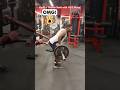 Build a Thicker Back with THIS Move! #backworkout#fitness #motivation #youtubeshorts
