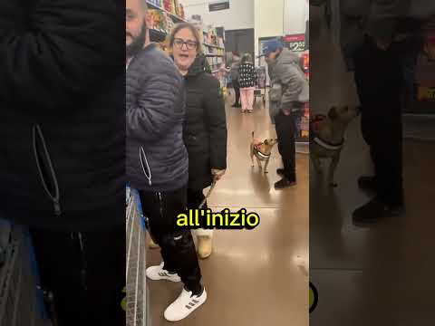 Aveva lasciato il cane libero🤯 thumbnail
