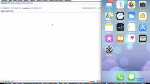 Hacking and Pentesting iOS Applications - Traffic Analysis