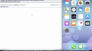 Hacking and Pentesting iOS Applications - Traffic Analysis