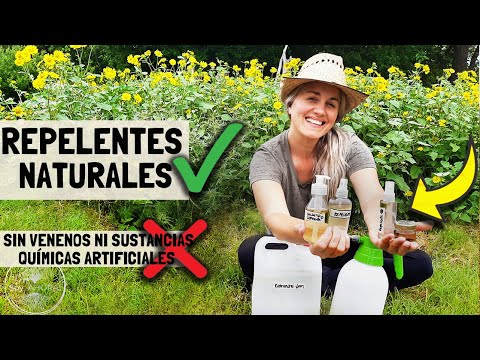 Video: 3 formas de hacer repelente de insectos natural