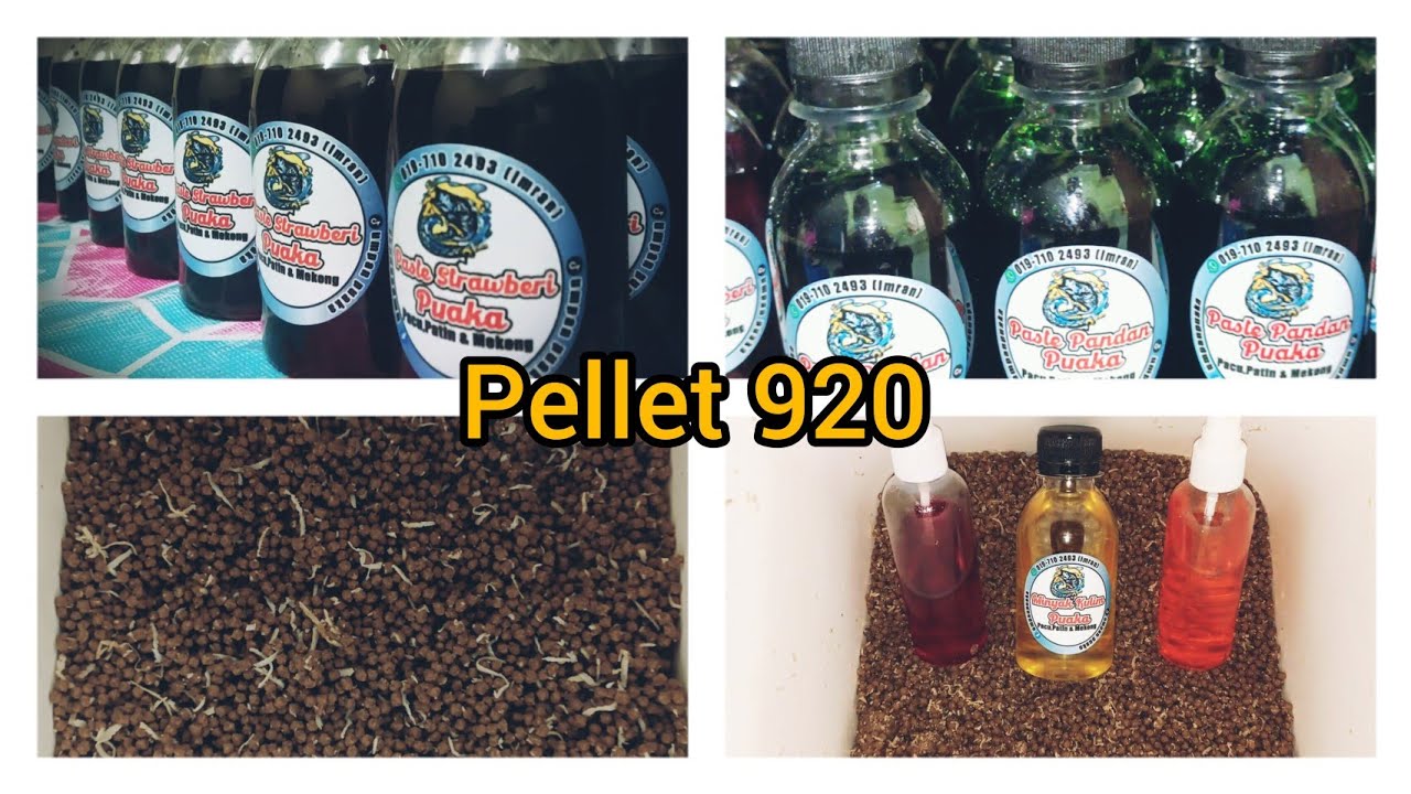 Bancuh Asas Pellet 920 + Pandan Puaka