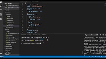 Loopback Data Source and Data Model Creation using MongoDB