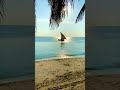 Sailing paradise in stone town zanzibar shorts