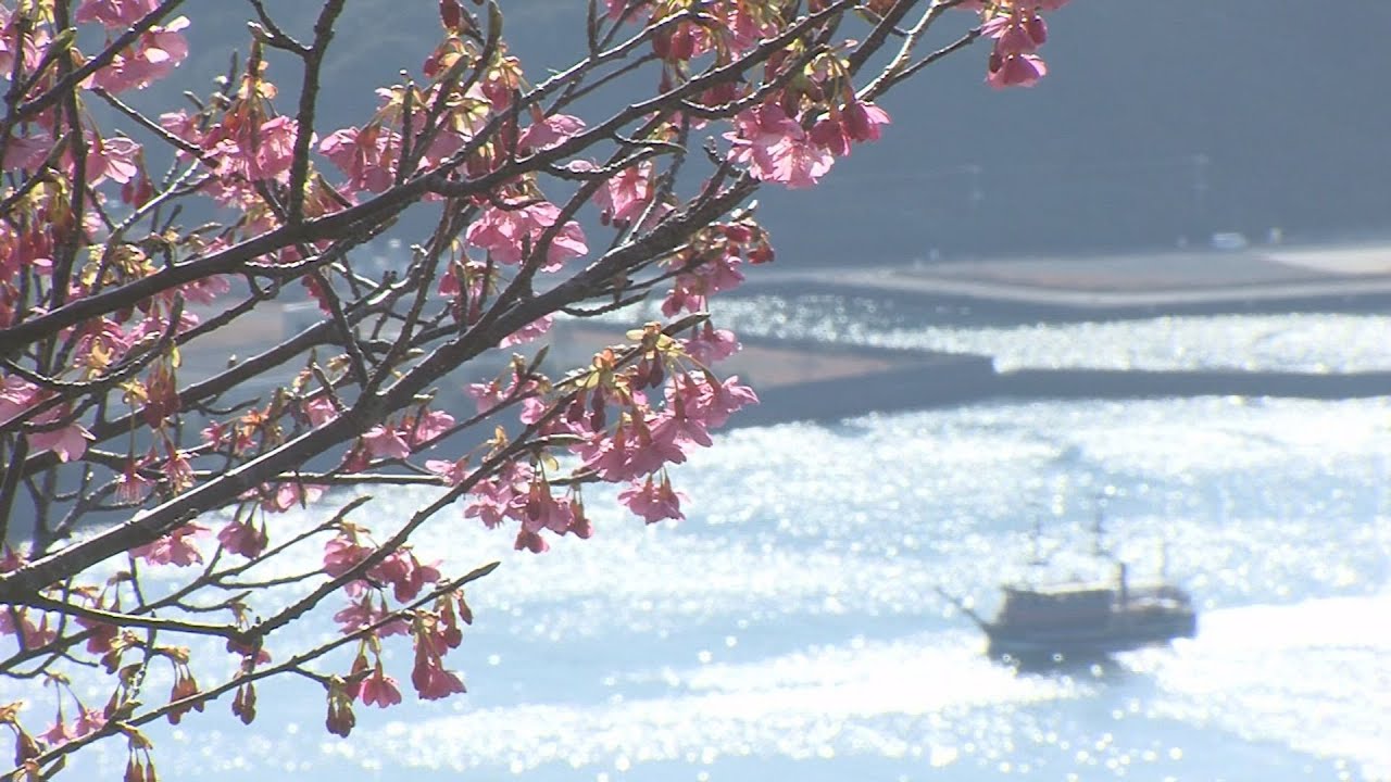 きょうのニュース　2026年1月15日放送