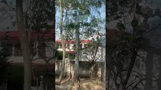 IMG 0072