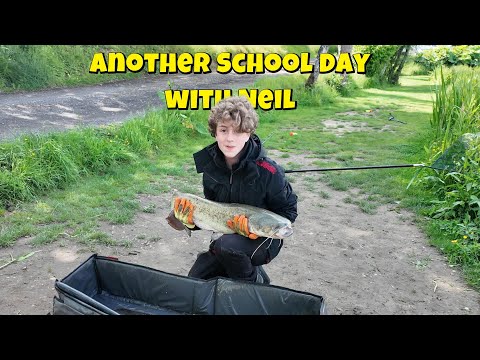 How to catch Catfish, A beginners guide