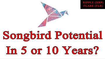 The Role Of Songbird In 5 or 10 Years? Flare Network - Hugo Philion Uphold Interview