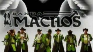 Banda Machos, Copa Tras Copa chords