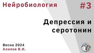 Нейробиология обучения 3. Депрессия, антидепрессанты и серотонин