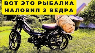 видео: Первый выезд на  рыбалку на мопеде и такая удача наловил два ведра. картинка: Первый выезд на  рыбалку на мопеде и такая удача наловил два ведра.