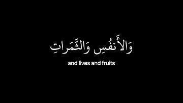 [ ولنبلونكم بشيء من الخوف والجوع ] كروما قران شاشه سوداء - القارئ اسلام صبحي