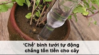 ‘Chế’ bình tưới tự động chẳng tốn tiền cho cây
