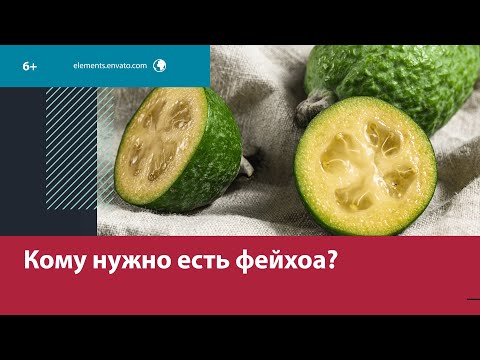 Чем полезна фейхоа и как выбрать правильную – Москва FM