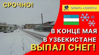 В конце мая в Узбекистане выпал Снег!