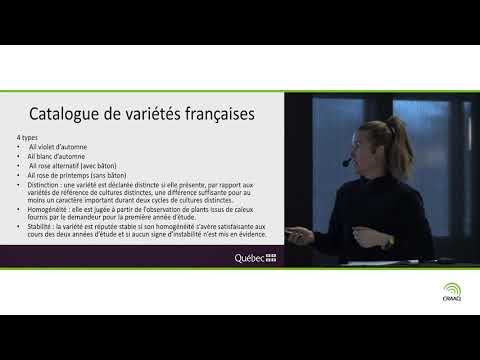 Vidéo: Cultiver de l'ail : variétés avec descriptions, choix, caractéristiques de croissance