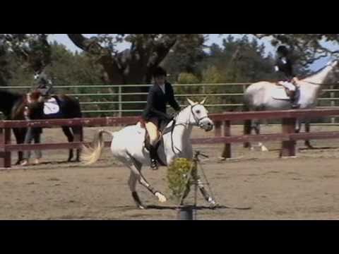 Claire Kendall & Lady Gwenevere Stadium Jumping Wo...