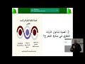خطوات انجاز التراث النظري لمذكرة التخرج او رسالة الدكتوراه 