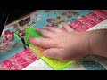 Gammill Statler Ascend hand guided ruler work. 
