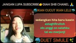 Karoke ikan cucut ikan lele