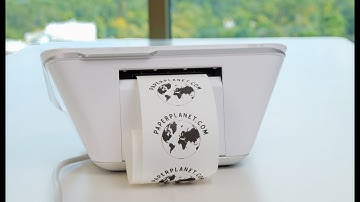 How to replace Clover Mini thermal paper