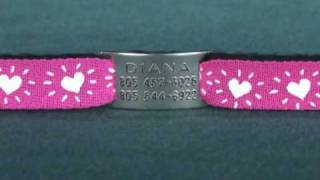 CollarTags™ - collar tags from BoomerangTags.com