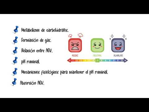 Vídeo: La Diafonía De Microbioma-huésped Ruminal Estimula El Desarrollo Del Epitelio Ruminal En Un Modelo De Cordero