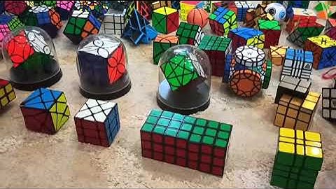 My Puzzle Collection | August 2021