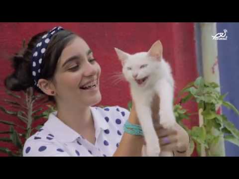       كريستا ماريا ابو عقل عندي بيسي