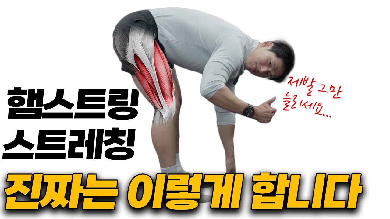 300만원 쓰고 재활PT에서 배운 공개하기 아까운 햄스트링 스트레칭 방법