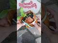 pindah tanam dari pot gedebog ke polybag #shorts  #gardening #cara #pindahtanam #gedebogpisang