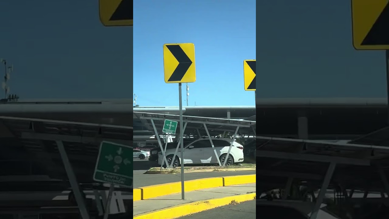 Fuimos al aeropuerto a recoger