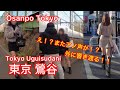 【4k】Osanpo Tokyo Uguisudani お散歩鶯谷 2024.2.13