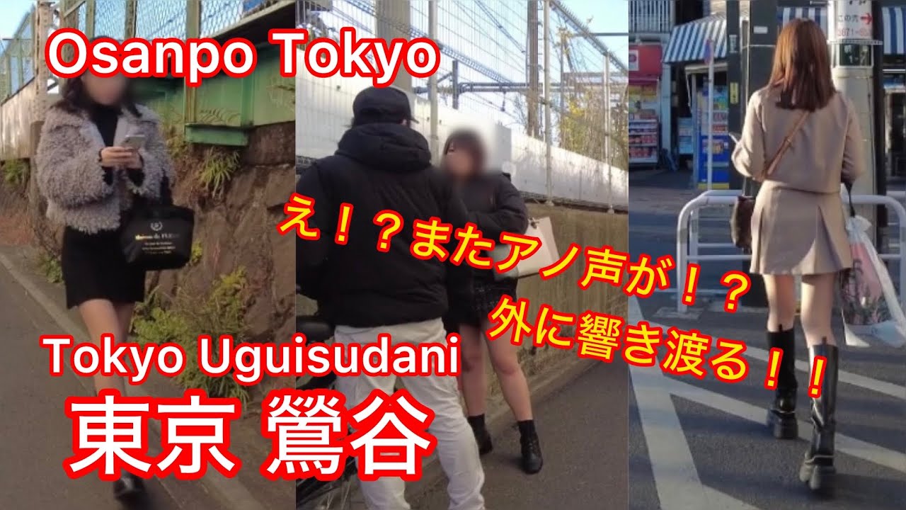 【4k】Osanpo Tokyo Uguisudani お散歩鶯谷 2024.2.13